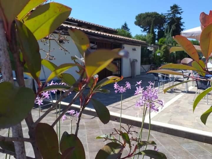Borgo Nicoletta Case Per Le Vacanze Filandari Exterior photo